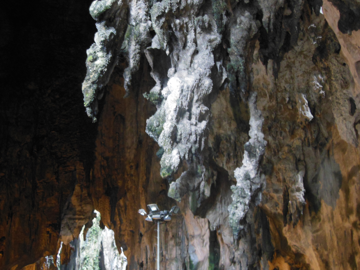 2013-11-03 Kuala Lumpur (Beim Tempel) 